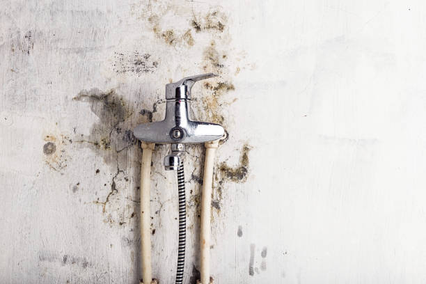Best Industrial Mold Remediation in Alturas, CA