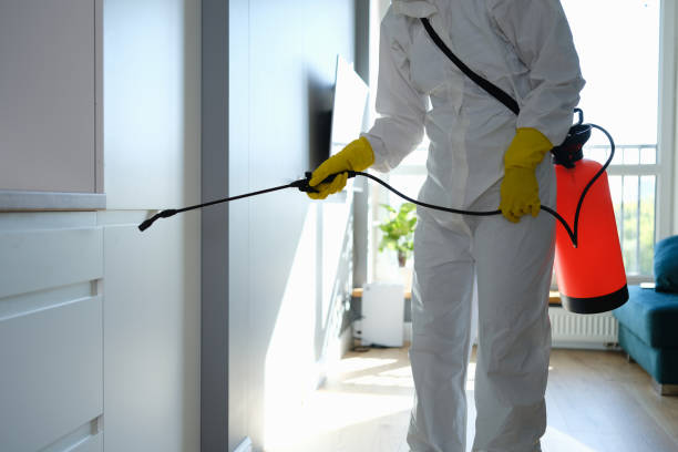 Best Commercial Mold Remediation in Alturas, CA